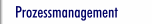 Prozessmanagement